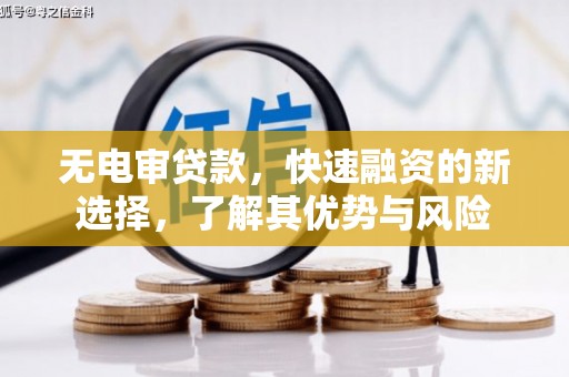 伊犁哈萨克无电审贷款，快速融资的新选择，了解其优势与风险