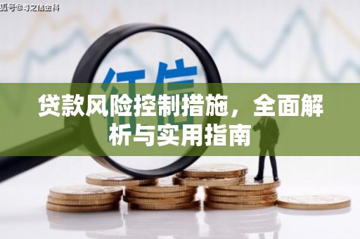 伊犁哈萨克贷款风险控制措施，全面解析与实用指南