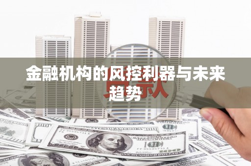 伊犁哈萨克金融机构的风控利器与未来趋势