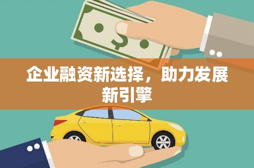 伊犁哈萨克企业融资新选择，助力发展新引擎