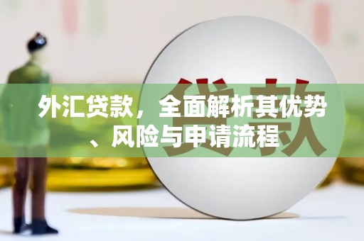 伊犁哈萨克外汇贷款，全面解析其优势、风险与申请流程