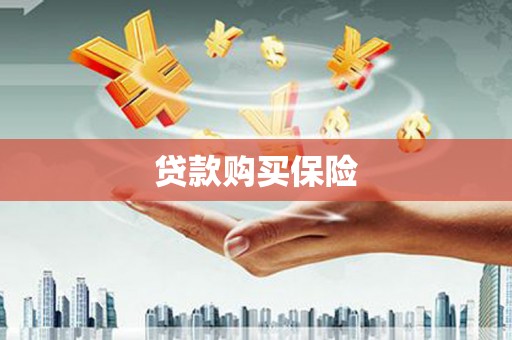 伊犁哈萨克贷款购买保险