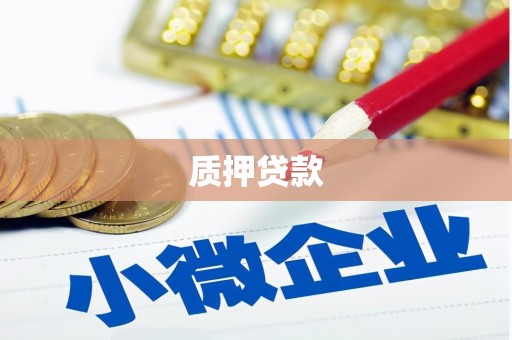 伊犁哈萨克质押贷款
