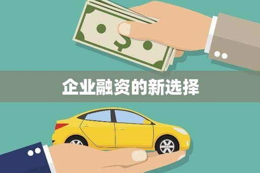 伊犁哈萨克企业融资的新选择