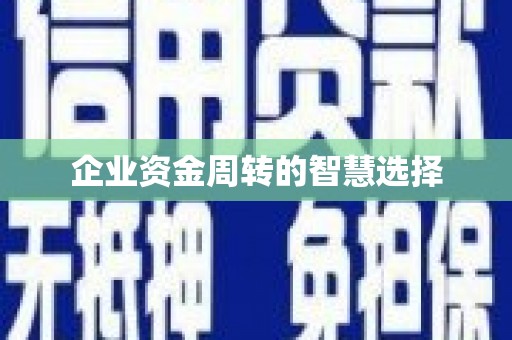 伊犁哈萨克企业资金周转的智慧选择