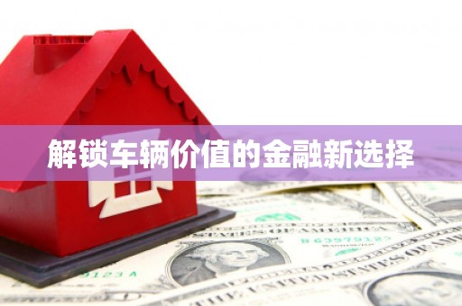 伊犁哈萨克解锁车辆价值的金融新选择