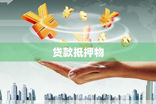 伊犁哈萨克贷款抵押物