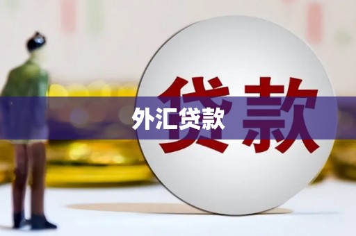 伊犁哈萨克外汇贷款