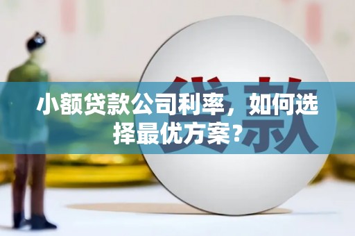 伊犁哈萨克小额贷款公司利率，如何选择最优方案？