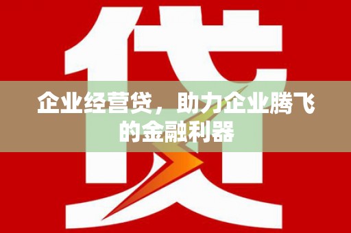 伊犁哈萨克企业经营贷，助力企业腾飞的金融利器