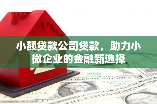 伊犁哈萨克小额贷款公司贷款，助力小微企业的金融新选择