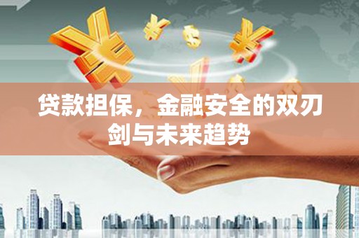 伊犁哈萨克贷款担保，金融安全的双刃剑与未来趋势