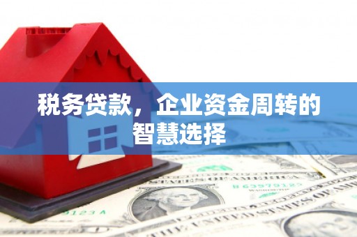 伊犁哈萨克税务贷款，企业资金周转的智慧选择