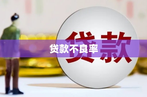 伊犁哈萨克贷款不良率