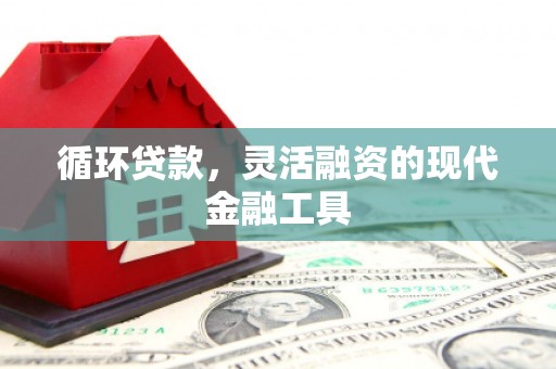 伊犁哈萨克循环贷款，灵活融资的现代金融工具