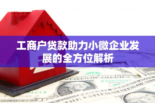 伊犁哈萨克工商户贷款助力小微企业发展的全方位解析