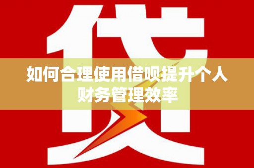 伊犁哈萨克如何合理使用借呗提升个人财务管理效率