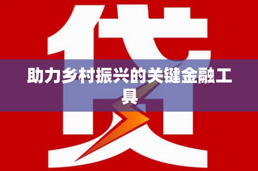 伊犁哈萨克助力乡村振兴的关键金融工具
