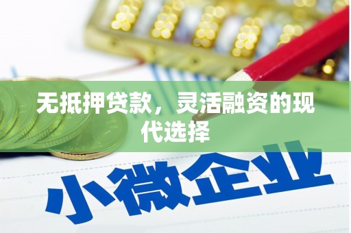 伊犁哈萨克无抵押贷款，灵活融资的现代选择