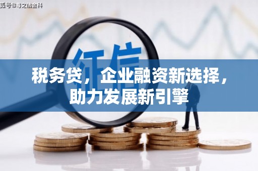 伊犁哈萨克税务贷，企业融资新选择，助力发展新引擎