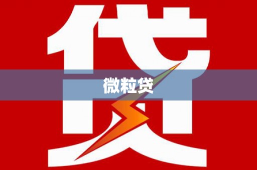 伊犁哈萨克微粒贷