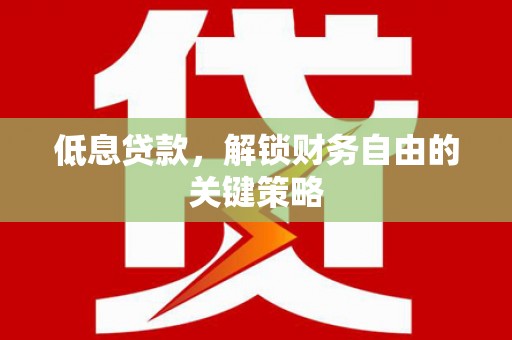 伊犁哈萨克低息贷款，解锁财务自由的关键策略