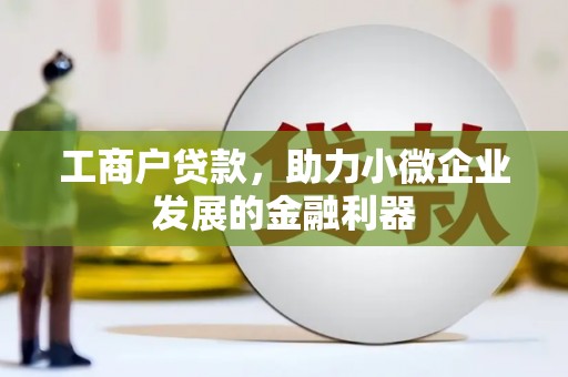 伊犁哈萨克工商户贷款，助力小微企业发展的金融利器