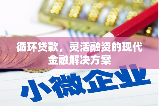 伊犁哈萨克循环贷款，灵活融资的现代金融解决方案