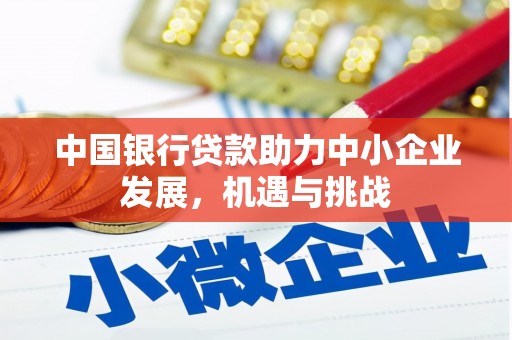伊犁哈萨克中国银行贷款助力中小企业发展，机遇与挑战