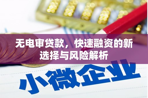伊犁哈萨克无电审贷款，快速融资的新选择与风险解析