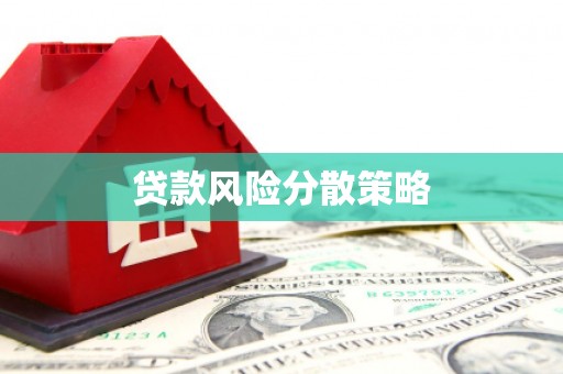 伊犁哈萨克贷款风险分散策略