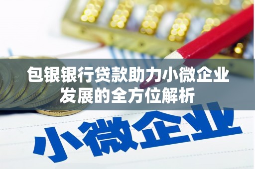 伊犁哈萨克包银银行贷款助力小微企业发展的全方位解析