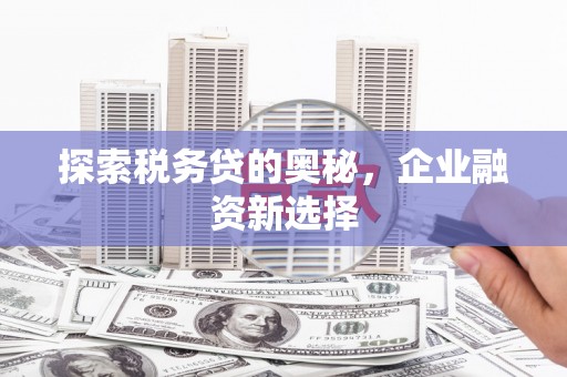 伊犁哈萨克探索税务贷的奥秘，企业融资新选择