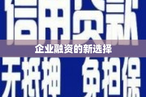 伊犁哈萨克企业融资的新选择
