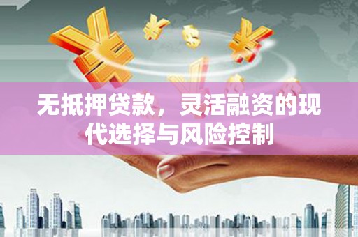 伊犁哈萨克无抵押贷款，灵活融资的现代选择与风险控制