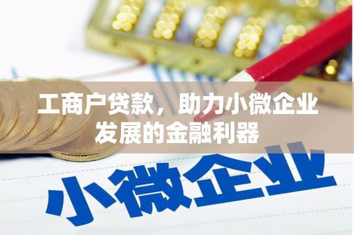 伊犁哈萨克工商户贷款，助力小微企业发展的金融利器