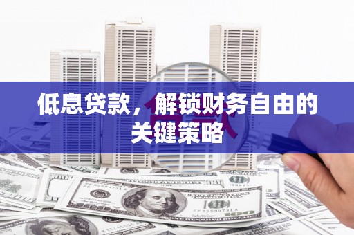 伊犁哈萨克低息贷款，解锁财务自由的关键策略