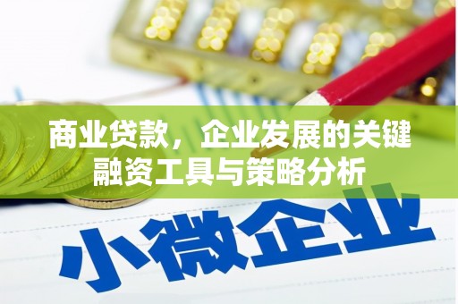 伊犁哈萨克商业贷款，企业发展的关键融资工具与策略分析