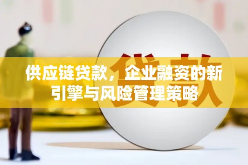 伊犁哈萨克供应链贷款，企业融资的新引擎与风险管理策略