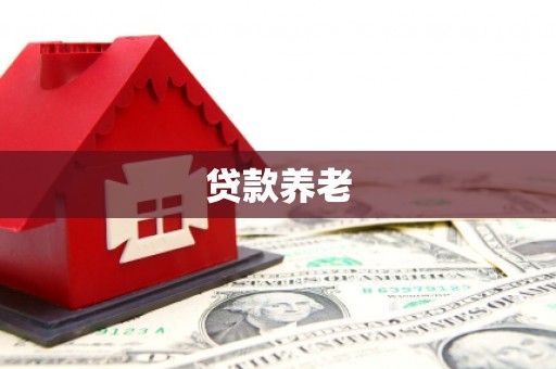 伊犁哈萨克贷款养老