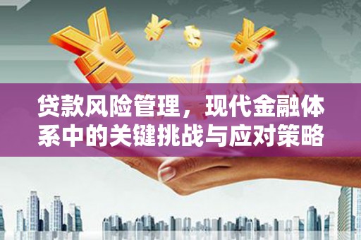 伊犁哈萨克贷款风险管理，现代金融体系中的关键挑战与应对策略
