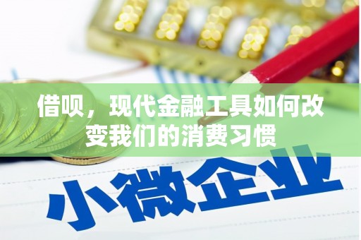 伊犁哈萨克借呗，现代金融工具如何改变我们的消费习惯