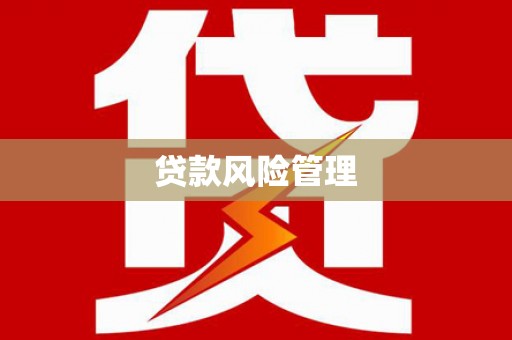 伊犁哈萨克贷款风险管理