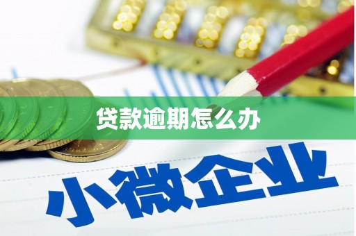 伊犁哈萨克贷款逾期怎么办