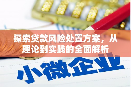 伊犁哈萨克探索贷款风险处置方案，从理论到实践的全面解析