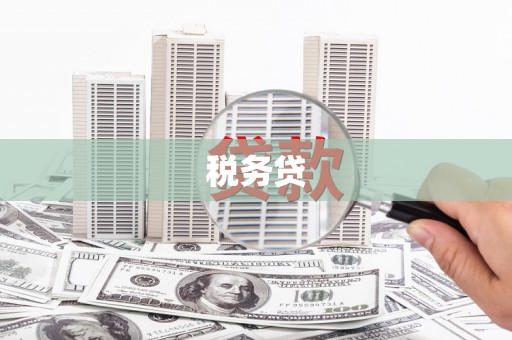 伊犁哈萨克税务贷