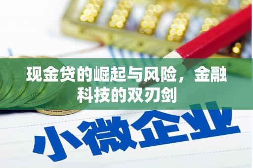 伊犁哈萨克现金贷的崛起与风险，金融科技的双刃剑