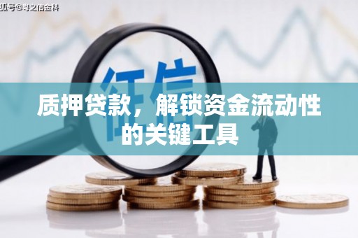 伊犁哈萨克质押贷款，解锁资金流动性的关键工具