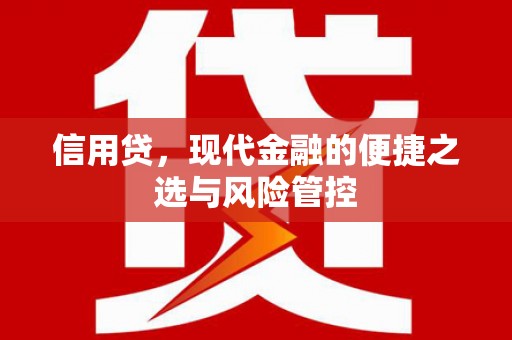 伊犁哈萨克信用贷，现代金融的便捷之选与风险管控