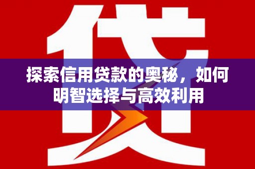 伊犁哈萨克探索信用贷款的奥秘，如何明智选择与高效利用